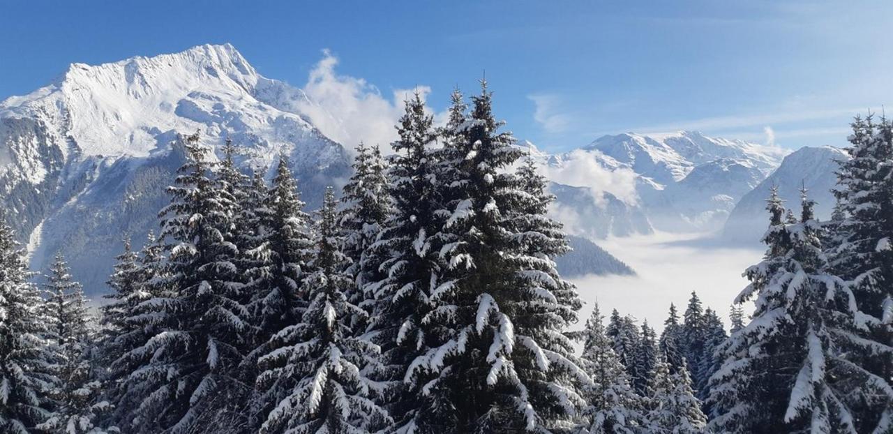 Les Glieres - Champagny-En-Vanoise La Plagne Zewnętrze zdjęcie