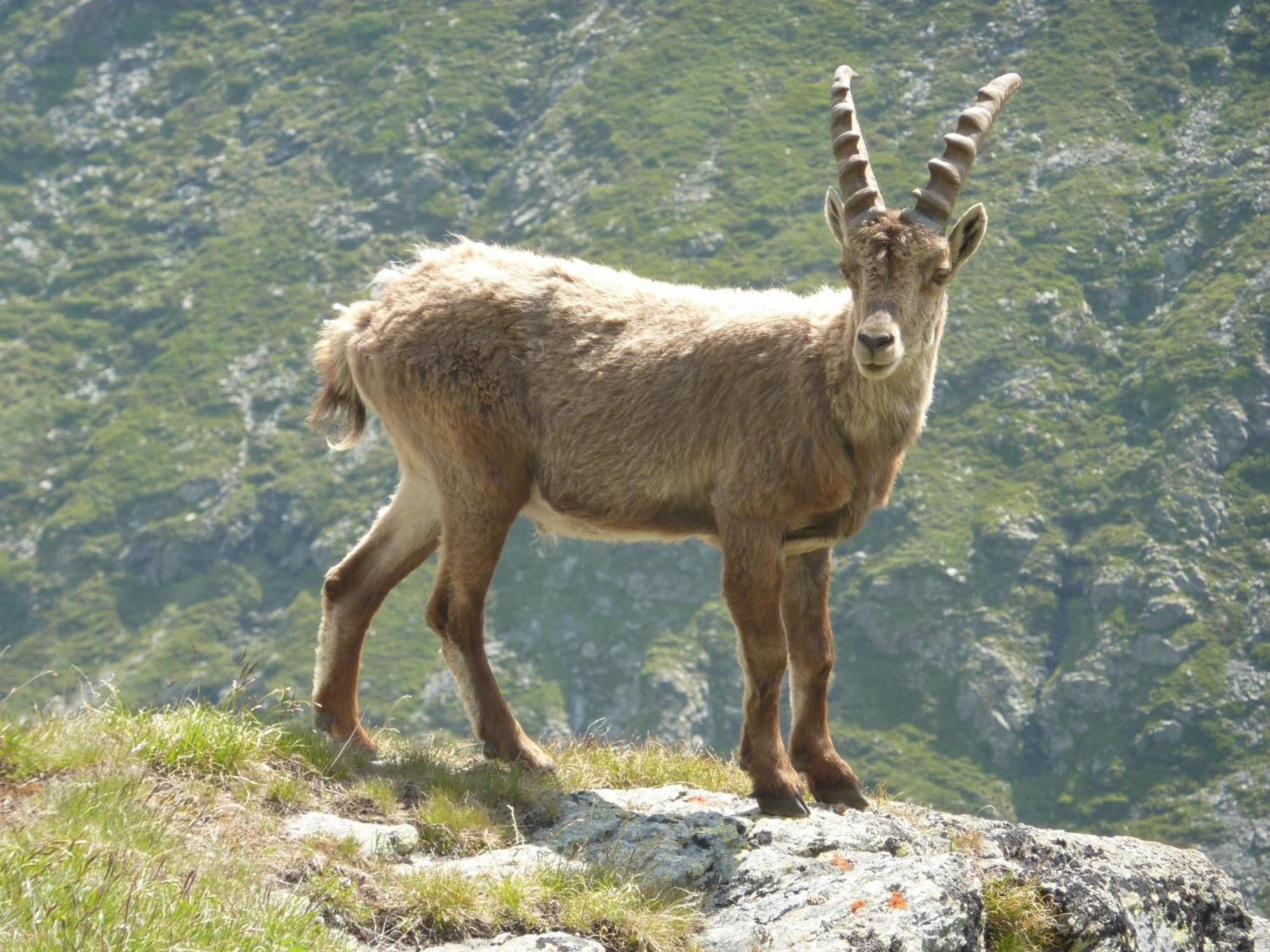 Les Glieres - Champagny-En-Vanoise La Plagne Zewnętrze zdjęcie